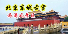 嗯,啊,艹屄免费视频中国北京-东城古宫旅游风景区